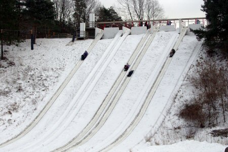 tobogganing